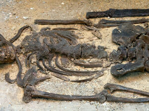 Scientists discovered five skeletons including three young adults, one teen and one child. (shutterstock) 