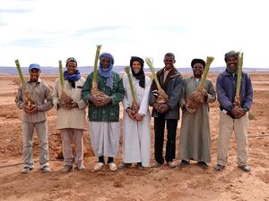 The Coca-Cola Africa Foundation partnered with CARE in Morocco to increase access to improved potable water supply sources and sanitation facilities for vulnerable rural populations.