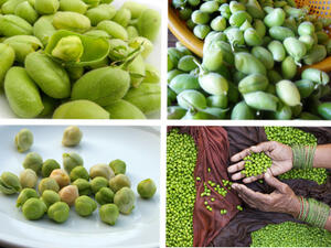 الحاملة تمنح البشرة النعومة والنضارة، كما تعالج التجاعيد والخطوط الرفيعة