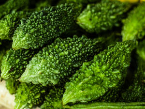 يحتوي الخيار المر "الهندي" على مكونات كيماوية مشابهة للأنسولين