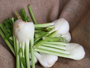 يحتوي الشومر على مواد وزيوت طيارة لطرد البلغم والتخلص منه

