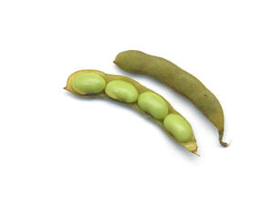 يحتوي الفول على الألياف التي تساعد في إبطاء تفتيت الكربوهيدرات 