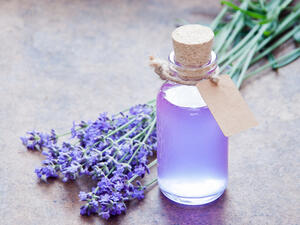 يخفف زيت اللافندر (الخزامى) من آلام الصداع النصفي
