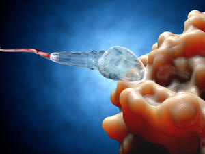 "الإيلاج" وقت الحيض يساعد في وصول جراثيم أكثر للرحم 