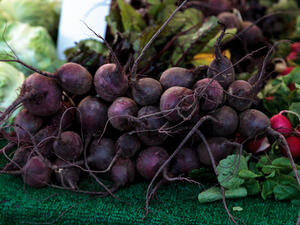 الفجل الأسود لتطهير الكبد وإزالة السموم المتراكمة به

