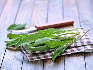 ترتبط الميرمية ارتباطاً وثيقاً بعلاج أمراض الفم فهو ينظف الفم والأسنان