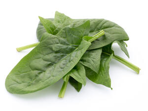 السبانخ من أهم الخضراوات الورقية المفيدة لك ولصحتك
