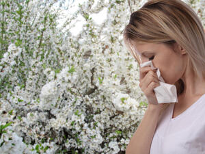 من أعراض حساسية الربيع إفرازات مخاطيّة

