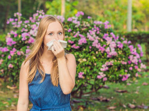 تجنبي زيارة المدن والأماكن شديدة الاخضرار والتزهير والأتربة

