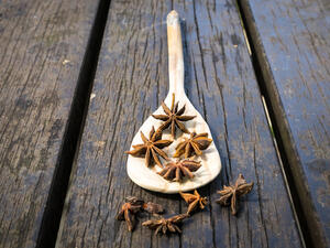 من فوائد اليانسون يمكن أن يكون له دورٌ في علاج الغثيان