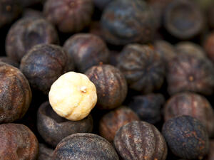 الليمون الأسود يعمل على ضخ الدم ومعالجة خفقان القلب
