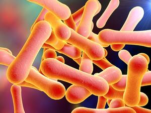 فالدفتيريا مرض شديد العدوى ويطلق عليه الخانوق قديماً