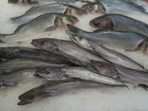 الفسيخ هو السمك المالح المعتق وهو طبق شعبي شهي جداً

