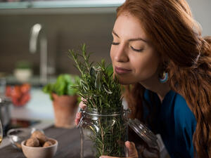 الأعشاب لا غني عنها في تحضير الطعام الأعشاب لا غني عنها في تحضير الطعام