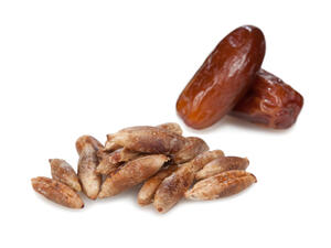 
تحتوي نواة التّمرى العديد من الأحماض الضّروريّة للجسم