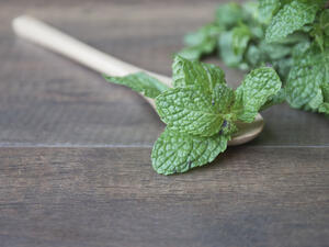 يعمل النعناع على معالجة العديد من مشاكل الجهاز الهضمي
