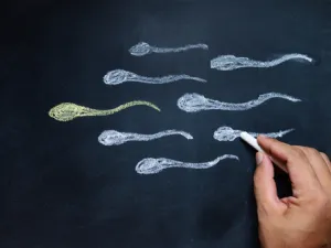 من أسباب زيادة تشوهات الحيوانات المنوية دوالى الخصية

