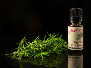 زيت شجرة الشاي يحارب شوائب البشرة ويكافح تساقط الشعر

