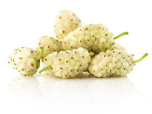 يساعد التوت الأبيض في تنعيم البشرة ومطهراً لحب الشباب

