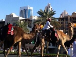 A safer form of transport on the UAE's National Day 