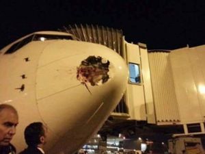 The EgyptAir flight sustained damage to its nose from a 'wildlife strike'. (Twitter)