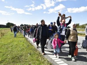 Migrants, mainly from Syria, walk on a highway near Rodby, Denmark on September 7, 2015 toward Sweden, where they hope to seek asylum (AFP/Bax Lindardt)