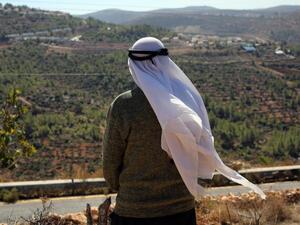 Palestinian farmer Abbas Yusef, 70, looks towards his olive trees. (AFP/File) Palestinian farmer Abbas Yusef, 70, looks towards his olive trees. (AFP/File)