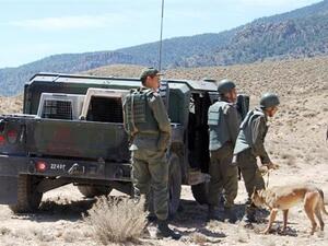  Tunisian soldiers look for landmines with the help of a sniffer dog in Mount Chambi near the Algerian border. (AFP/File) 