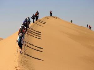 Women to trace traditional footsteps across desert for heritage walk. (File photo)