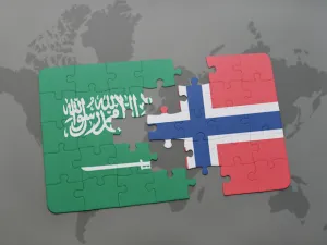 The decision was made after "a broad assessment of recent developments in Saudi Arabia and the unclear situation in Yemen", according to a statement by the foreign ministry. (Shutterstock)