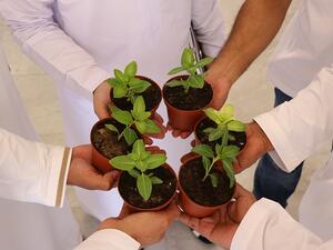 شركة النفط العمانية للتسويق - اليوم العالمي للبيئة 2017