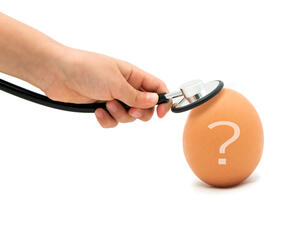 من أسباب ضعف الإباضة أمراض الغدة الدرقية