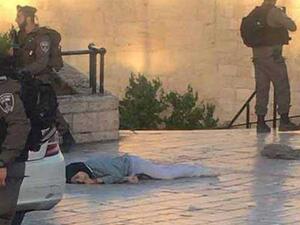  إعدام الطفلة فاطمة حجيجي (16 عاماً)، بعد إطلاق النار عليها “بدم بارد”