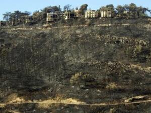 مساحات حرجية محترقة في جبل الكرمل 