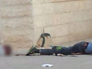 اعدام شابين فلسطينيين في بيت شميس