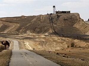 جمل على الجانب الاسرائيلي من الحدود مع مصر قرب موقع عسكري مصري (اعلى يمين الصورة) في سيناء