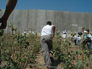 Agriculture in the occupied West Bank has been hit hard by Israeli exploitation of water resources (Wikimedia)