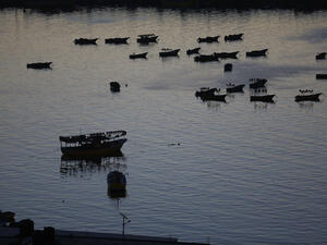 About 4,000 fishermen work off the coastal strip, more than half of whom live below the poverty line. (AFP)