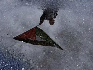A Turkish boy refleced in a puddle of water as he waves a Palestinian flag during the arrival of Turkish ship Mavi Marmara at Istanbul's Sarayburnu port, on December 26, 2010. The Israeli navy raided on May 31, 2010 the Turkish ship Mavi Marmara, which was part of a flotilla of aid ships bound for Gaza, killing several passengers and sparking international outrage.