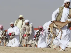 Emirati breeders prepare to release their Saluki dogs during the first Arab Heritage Saluki Race Festival in Zayed City in the United Arab Emirates' western Gharbia desert on Christmas Day 2010.  Some expats seem to find Saudi Arabia a difficult place to understand...