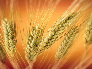 UAE is keen to review the challenges facing Arab food industries and to develop effective solutions and recommendations that would support the growth of these industries and enhance its competitiveness at the regional and international levels