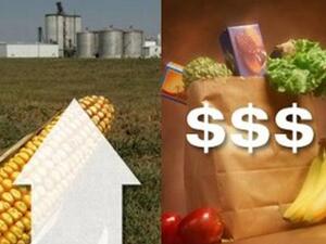 Countries with lower income levels would be impacted by inflation more than other countries because with a lower income a larger portion is spent on food