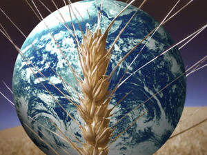 50 percent of the world's production of industrial goods enters international trade whereas only 25 percent of the world's agricultural production is traded globally