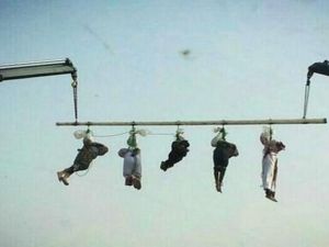 عن الانترنت