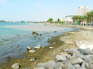 A study on pollution with the Regional Organization for the Conservation of the Environment of the Red Sea and Gulf of Aden (PERSGA), is expected to be released soon. (Arab News)