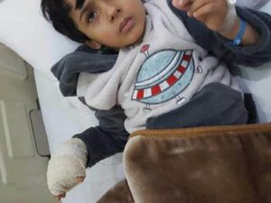 The boy luckily received quick medical treatment for his bitten hand. (Twitter)