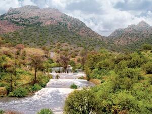 Officials are hoping to enhance tourism in the ‘city of roses’, which is known for its orchards, greenery and ruins. (Saudi Tourism)