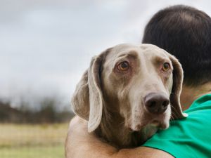 (Shutterstock/ File Photo)