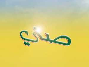 Sunny suggested on their facebook page that their intention in advertising these proverbs is actually to provoke change and counteract some traditional discriminatory attitudes towards women. (Facebook) 