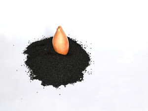 يعمل زيت بذور البصل على تطويل وتكثيف الشعر